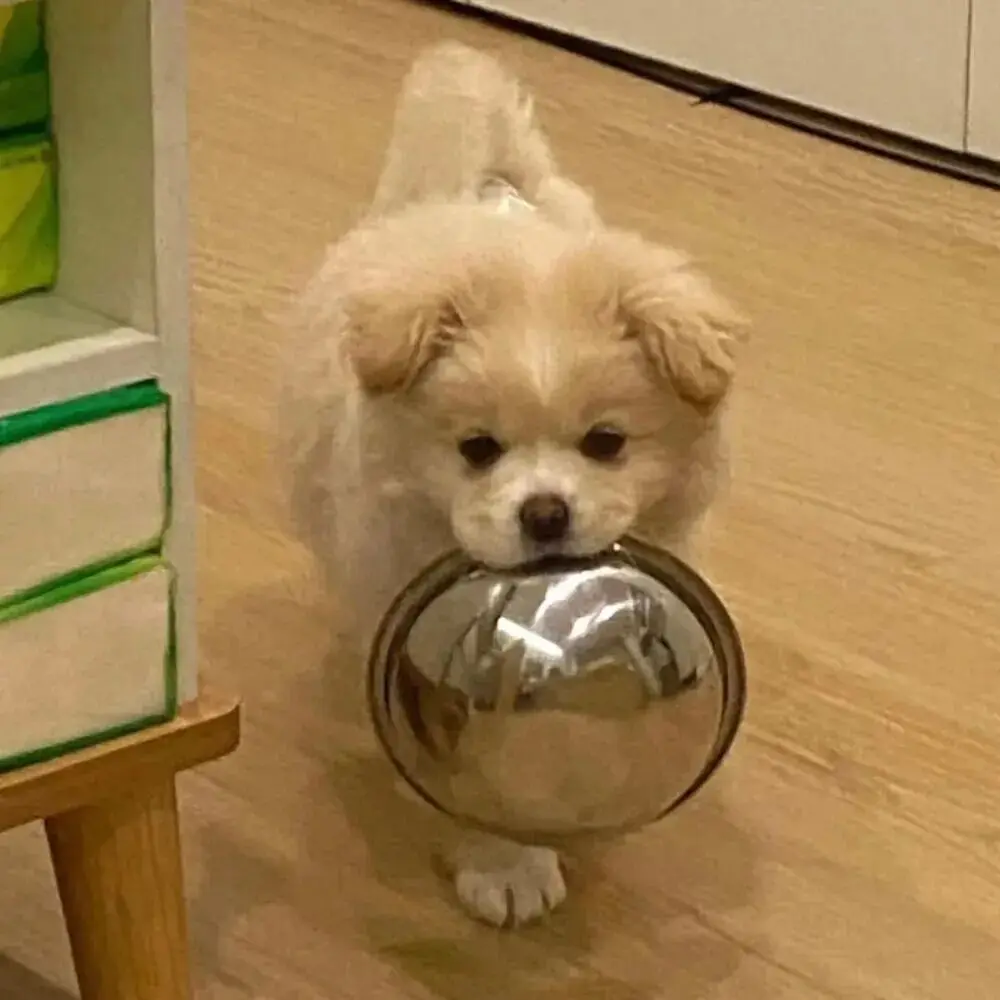 

Керамическое покрытие для дисков Rim EVO: защита от тормозной пыли, термостойкое, гидрофобное, сатиновое керамическое покрытие для литых и окрашенных дисков