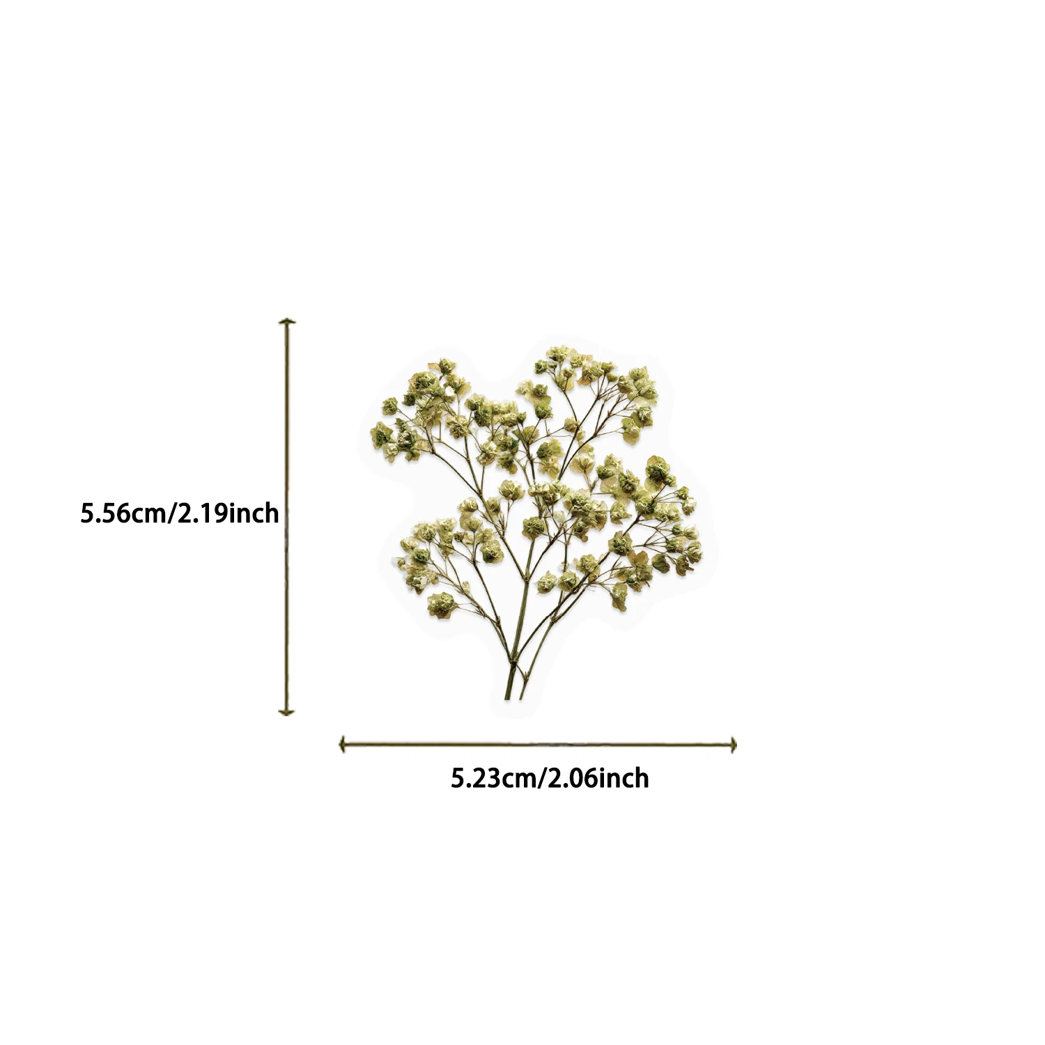 50/100PCS Dried Flower Collection Record PET Stickers Decorative handmade Scrapbooking Material Diary Album Craft Supplies