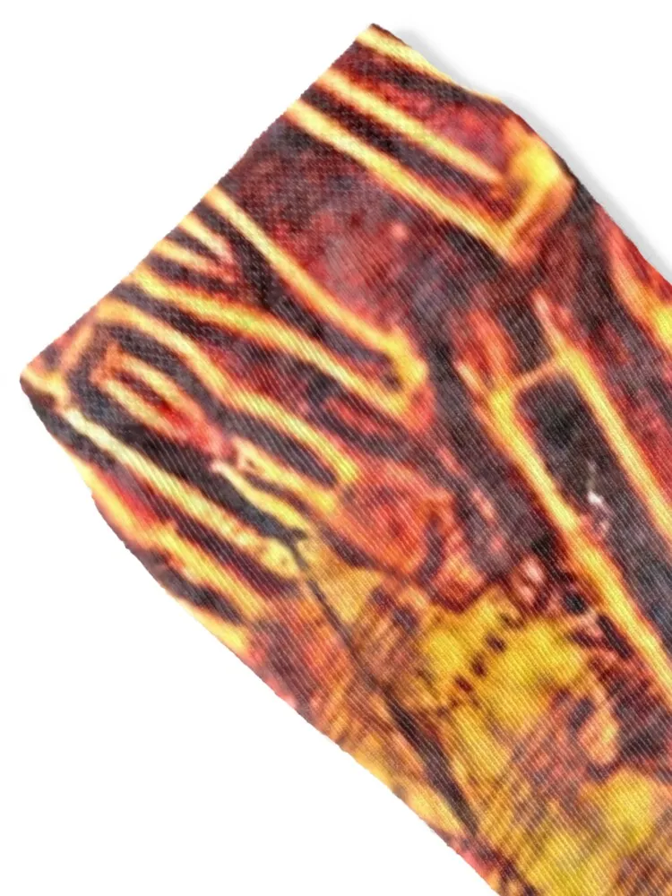 Lee Lewis Lasts Longer Loaded Fire Killer Socks basketball winter colored summer Socks Girl Men's