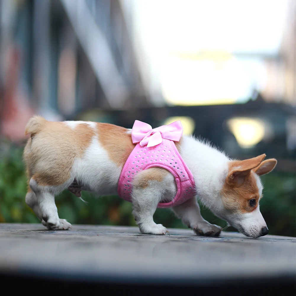 Diamond style soft and comfortable pink bow dog pet chest strap