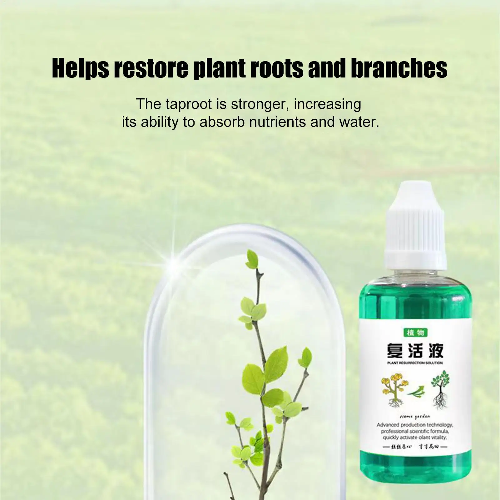 50ml Plant Nutrients Liquid  Outdoor and Soil Growing Plant Food Promotes Healthy & Strong Growth Fertilizing Liquid Concentrate