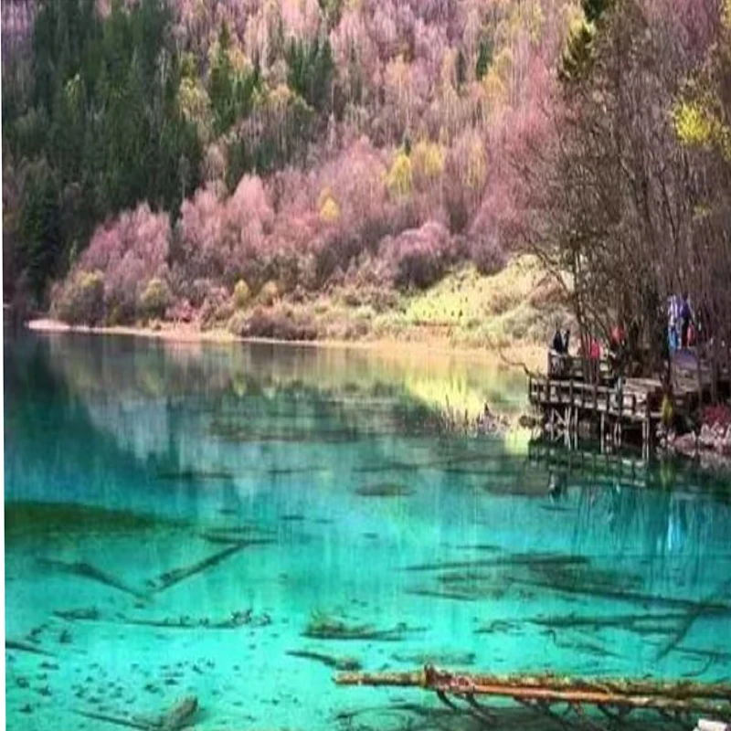 

JX PDI-HV5915MG 15kg Servo Metal Gear Steering Digital Coreless HV Motor for 1/8 1/10 Model Car RC 600-700 Helicopter DIY Parts