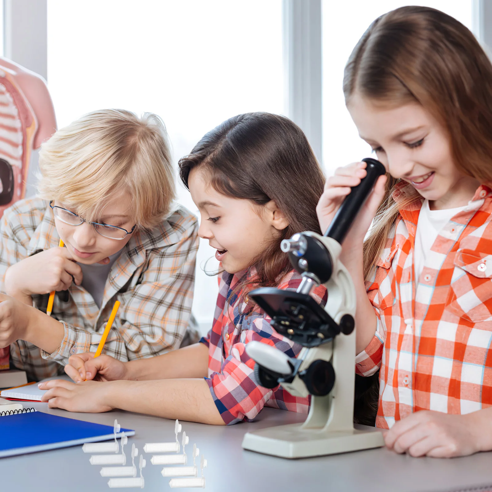 

500 Pcs up Tube Plastic Test Tubes Experiment Science with Caps