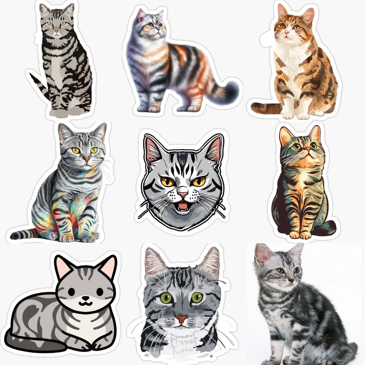 Cute Cat American Shorthair PVC Waterproof Stickers for Decorate Fridge Car Room Wall Van Truck Window Decal Accessories