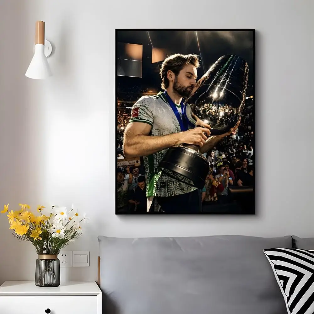 Esports Player C-champion Falcons NIKO Poster Trendy Aesthetic Wall Decor for Dorm & Bedroom