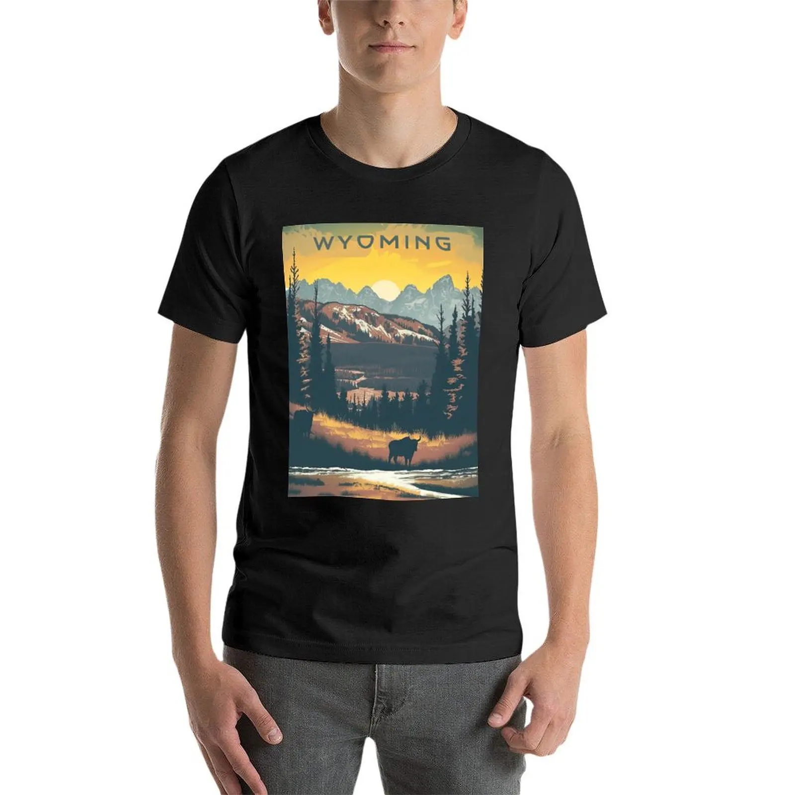 Wyoming-Póster de viaje de Estilo Vintage para hombre, ropa gráfica, paquete de camisetas