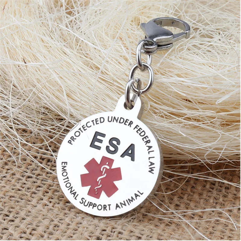 hygenic keychain Medical Warning Emergency Keychain Severe Food Allergies Epipen In Purse Engraved Key Chain Ring Bag Charm Key