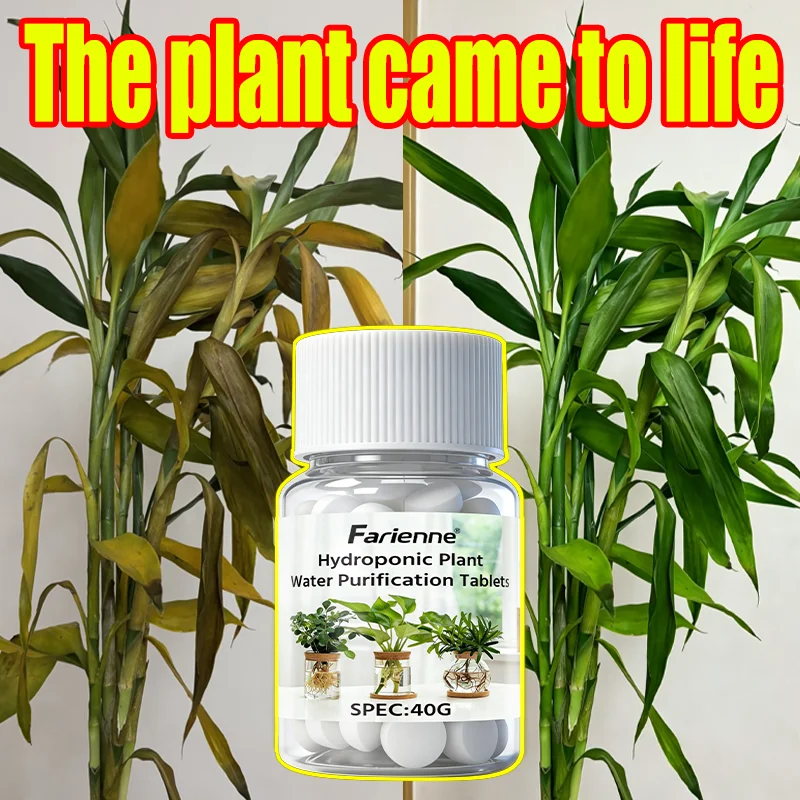 Farienne 100pcs Hydroponic Plant Water Purification Tablets 40G - Lucky Bamboo Root Booster & Cut Flower Fresh-Keeping