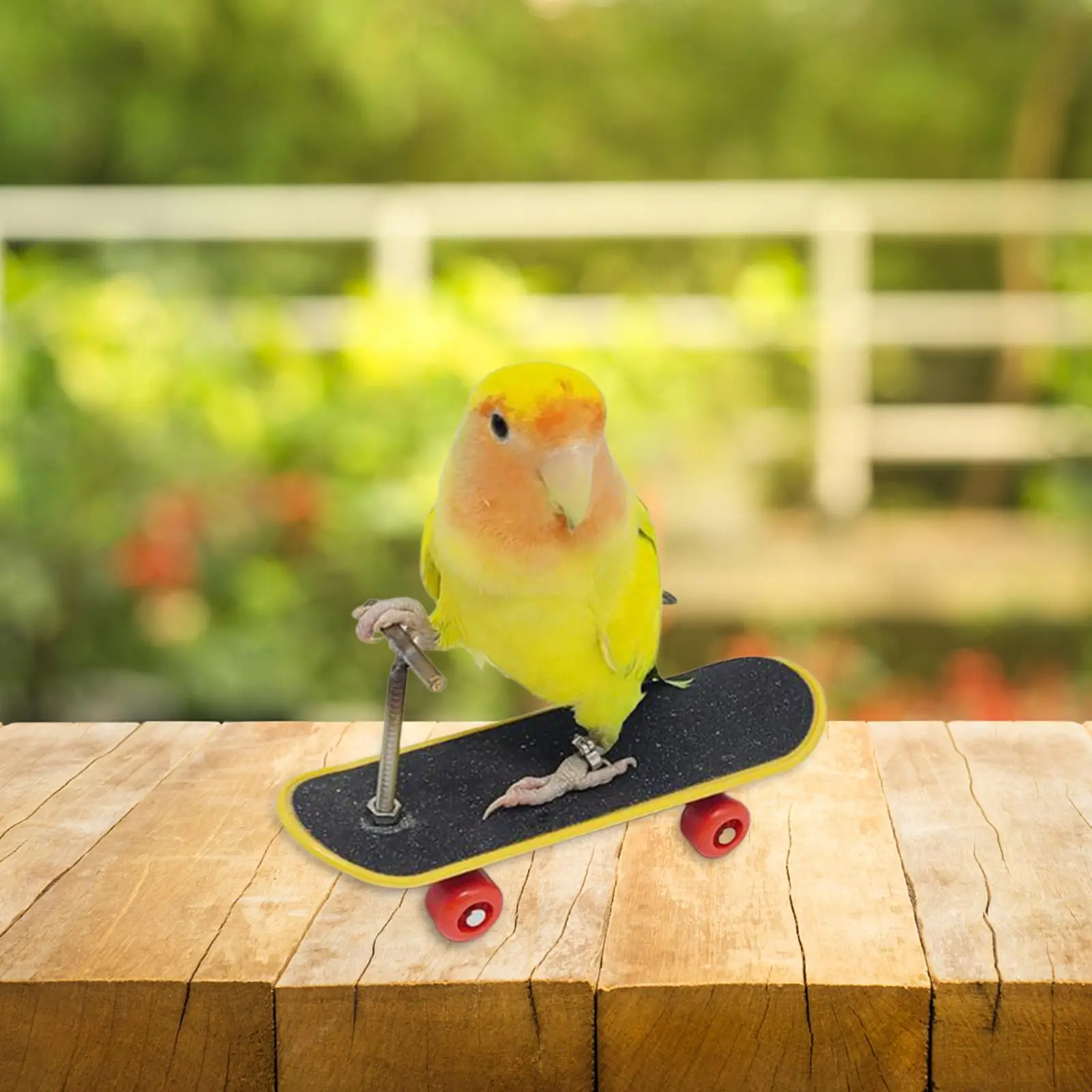 Mini Skateboard Solid Climbing Bird Stand Parrot Perches Parrot Play Stand Parakeet Toy for Gyms Tabletop Inside Home Lovebird