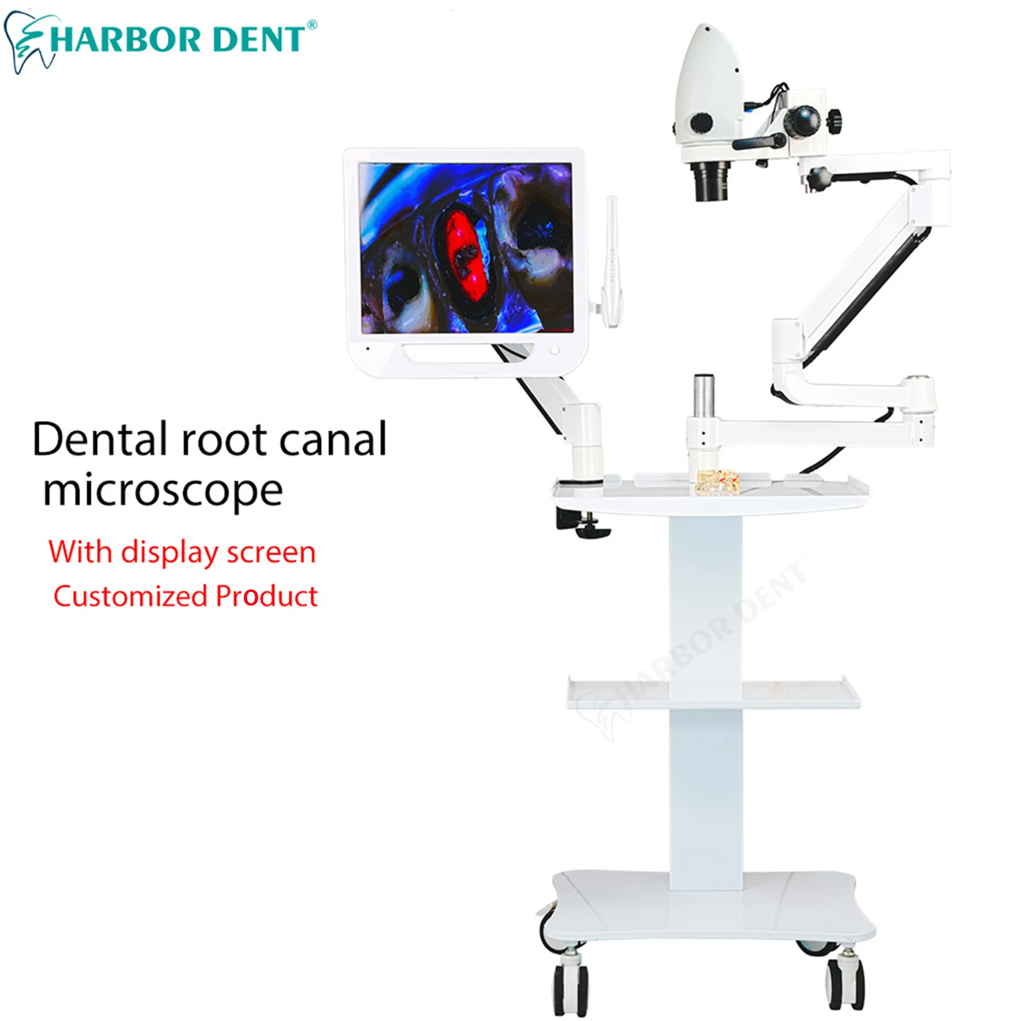 Dental Electron Microscope 5X-33X Continuous Zoom For 4K Monitor 20 Million Pixels Video Dentist Root Canal Microscope Customize