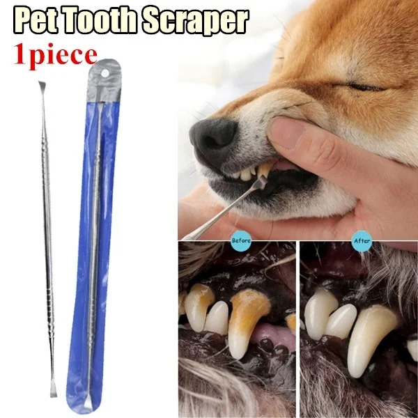 

1pc Pet Tooth Clean Scraper Tartar Removal Dog Tooth Cleaning Cleaning Scraper Quick Cleaning Pet Dog Oral Tooth Scraper Tool