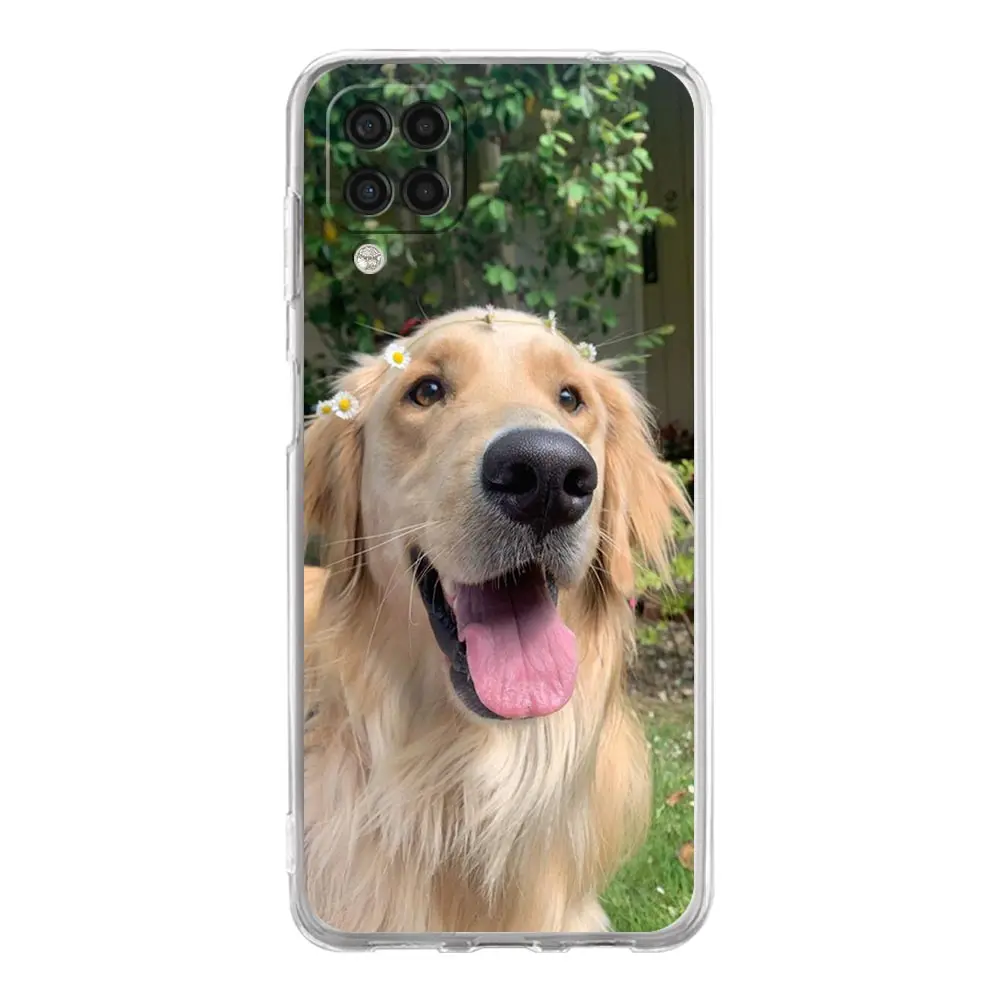 Golden Retriever Friend Soft Phone Case For Samsung Galaxy A51 A71 A21S A12 A11 A31 A41 A03 A13 A33 A73 A53 A52 A32 5G A23 Cover