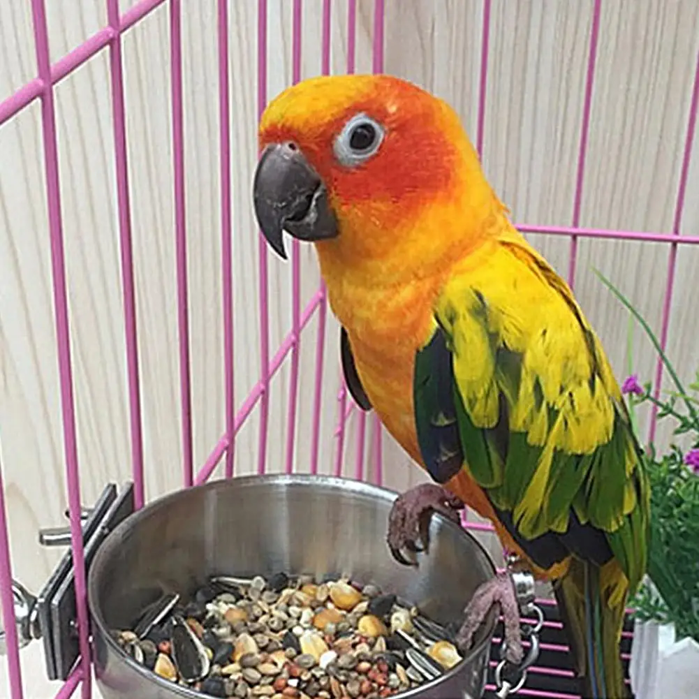 สแตนเลส Bird Feeder กล่อง Parrot ถ้วยชามคอนเทนเนอร์อาหารน้ำอุปกรณ์อุปกรณ์เสริม