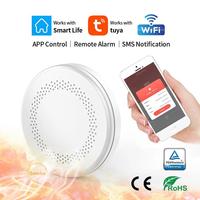 2 in 1 Version WiFi Tuya Smart Co & Smoke Detector Alarm Carbon Monoxide Parlor Room Kitchen Shop Fire PIR Sound Sensor Alert