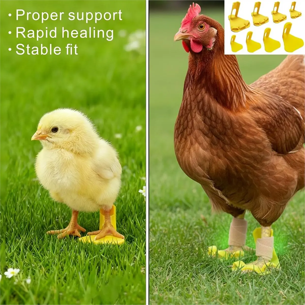 【AT48】 NEW 8 PCS Chicken Leg Splint & Toe Separator, Adjustable Poultry Leg Brace for All Growth Stages