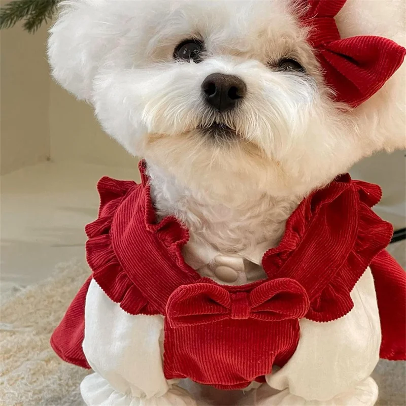 Rotes Cord-Hundekleid, Pullover für kleine Hunde, Set, Hunde-Winterkleid, Welpenkleidung für Weihnachten