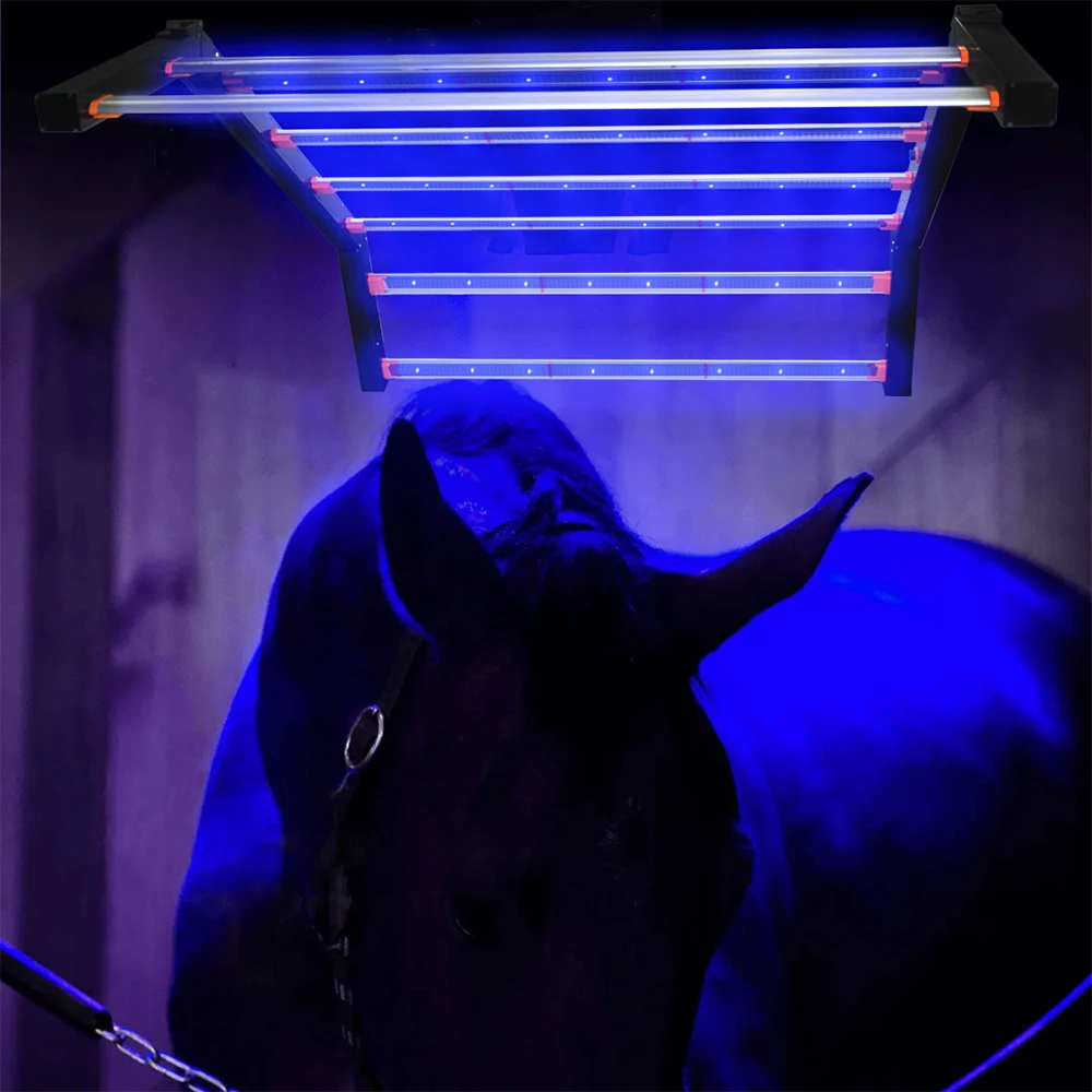 

Новинка: Инфракрасная терапевтическая лампа 640W/800W, светодиодный светильник для красной светотерапии для лошадей и животных, облегчение боли, уход за собой и красота.