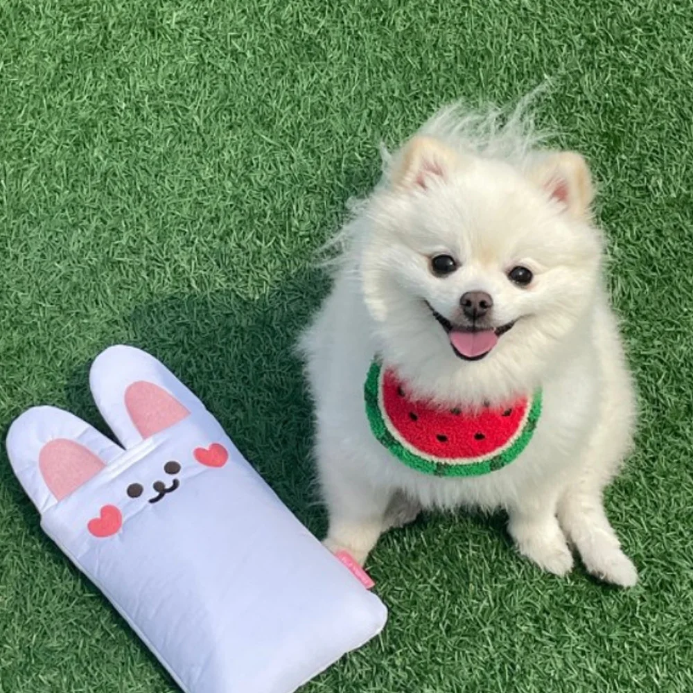 الكرتون البطيخ وشاح للحيوانات الأليفة ، منشفة اللعاب ، الكلب والقط طوق مريلة ، جرو فستان الملحقات #3