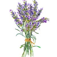 2 Pcs Oil Adjustable 65Mm Shock Absorber Damper for Rc Car 1/18 WLtoys A959 A969 A979 K929 Hpi Hsp Trxs Losi Tamiya