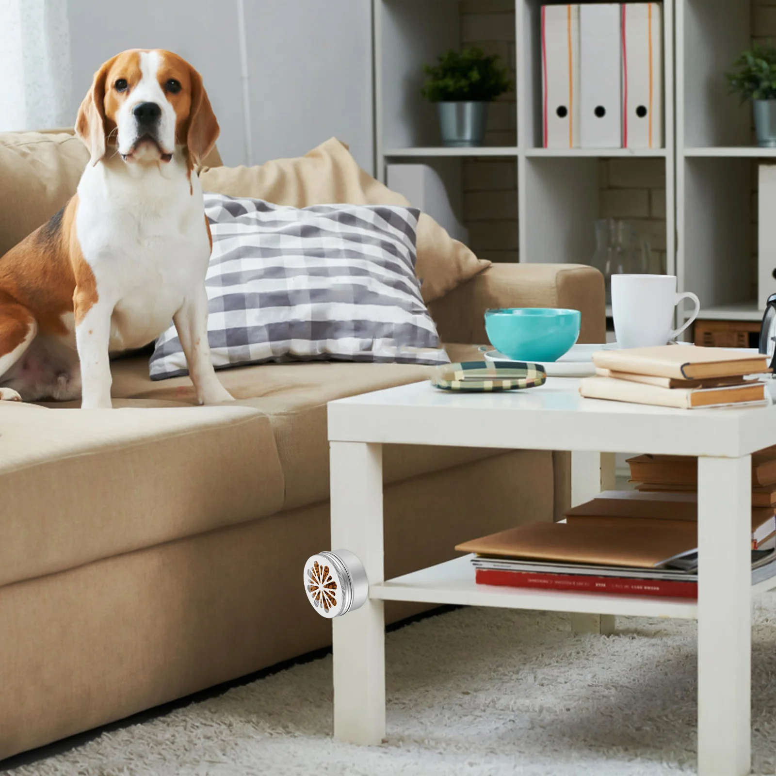 

1 Dog Scent Training Container Metal Tin with Magnetic Dots Aluminum Durable Nosework Box Pet Treat Storage Training Kit