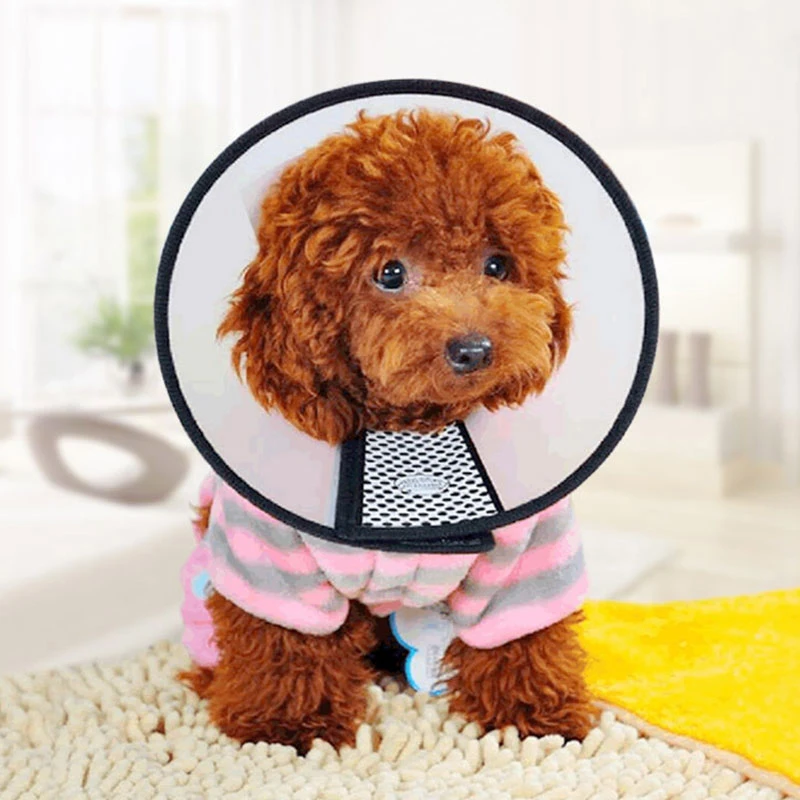 Cat Cone Elizabethan Collar Adjustable Recovery Anti-bite Ring Pet Cone Lightweight Plastic Collar Cats Mini Dog Rabbits Collars