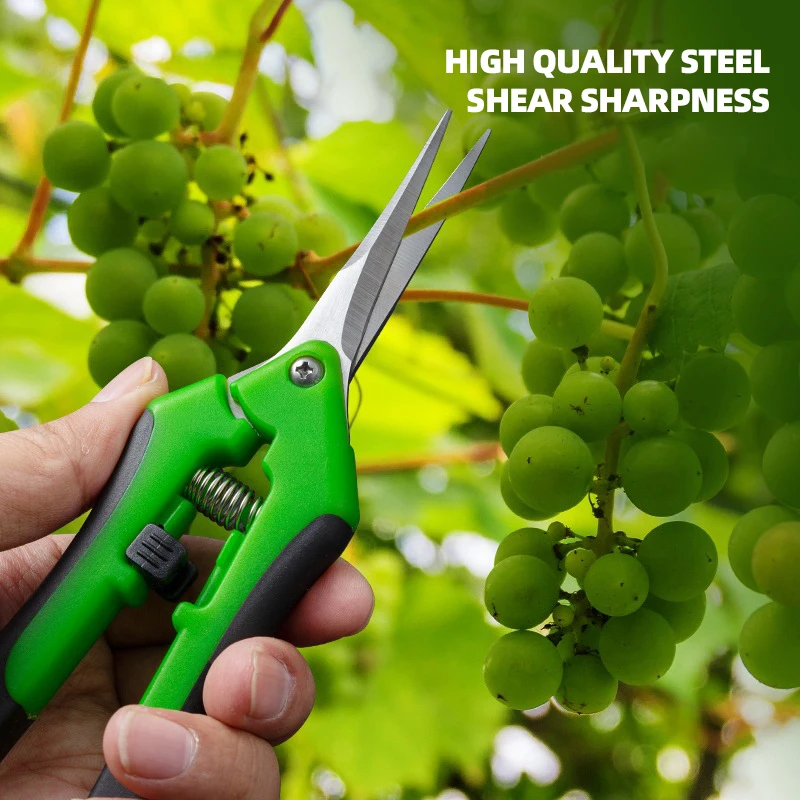 AIRAJ 7Inch Scissors for Pruni - огляд і ціна Bonsai Garden Knife