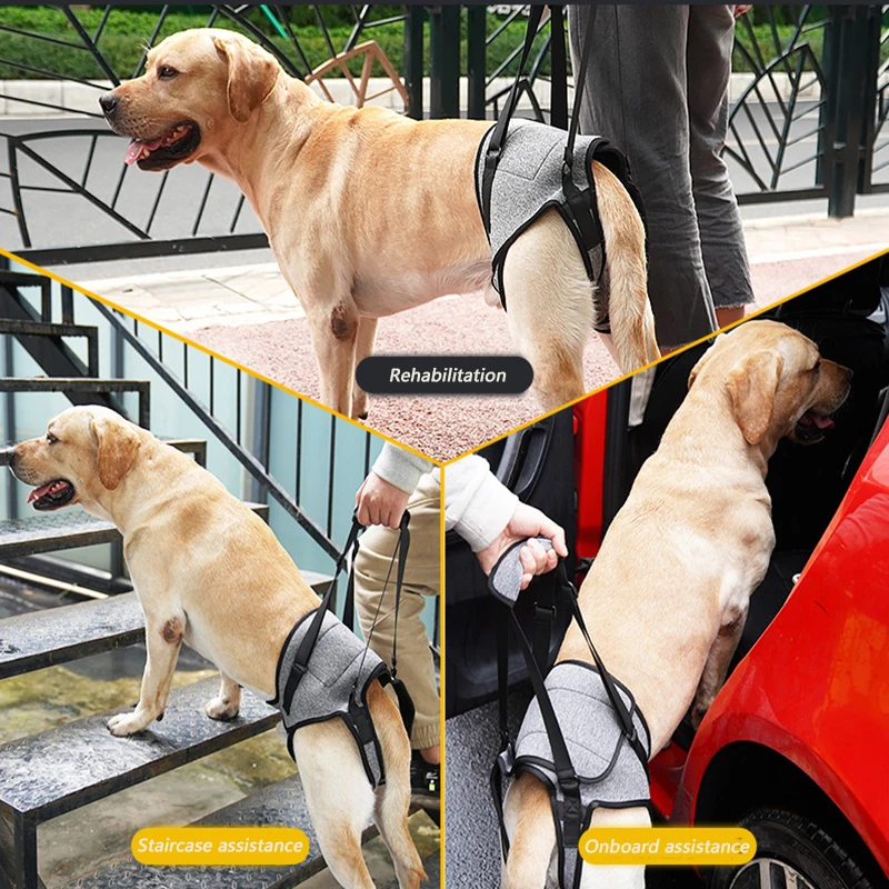 Thumbnail 3 - #86 Pet Harnesses List of Top Picks