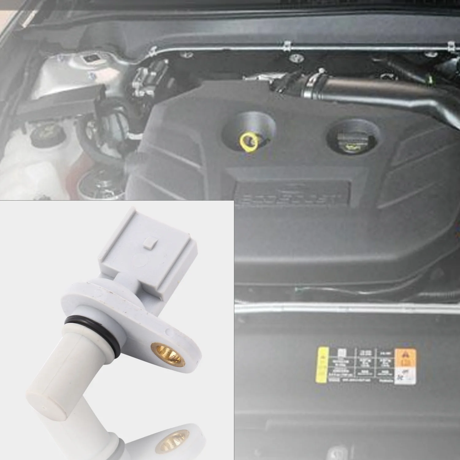 Sensor posisi poros bubungan untuk kotak Bus Transit Mondeo untuk X 6C11-12K073-AA