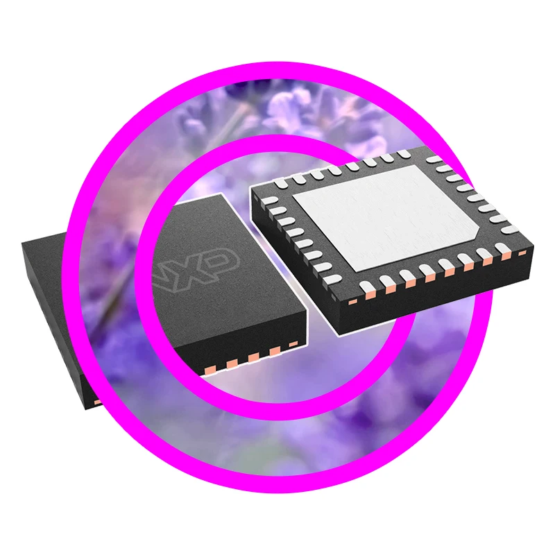

(1PCS) SGTL5000XNBA3R2 MC34716EP MCXC244VFM MK02FN64VFM10 LPC822M101JHI33Y MK02FN128VFM10 MC33CD1020AESR2 SGTL5000XNAA3R2 New