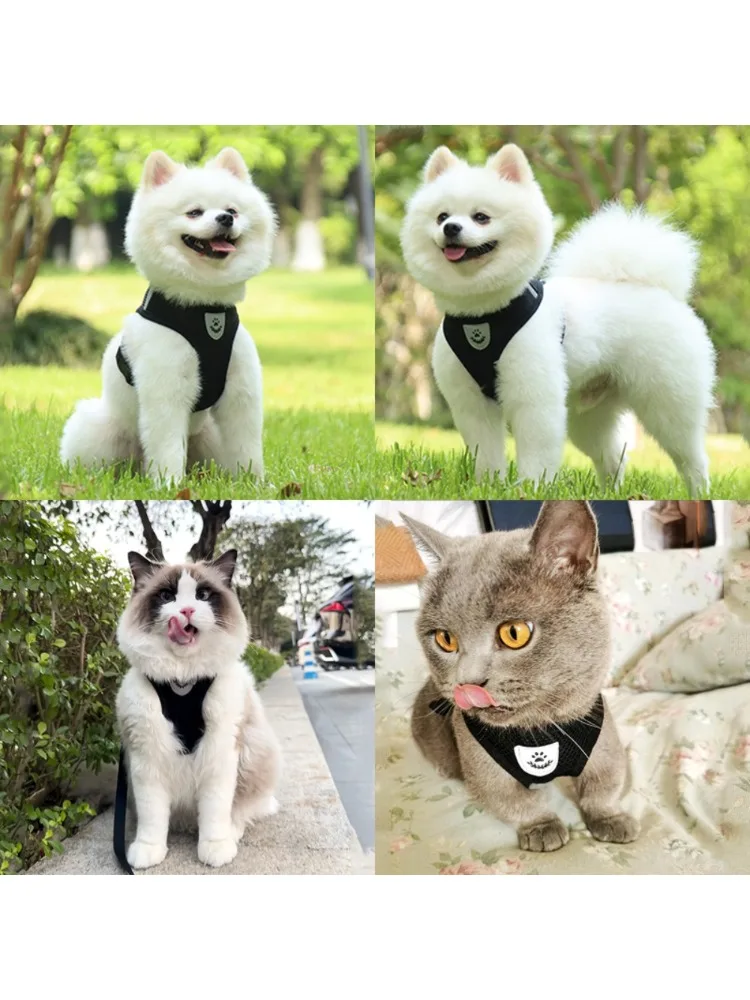 Verstellbares Katzen- und Hundegeschirr-Set mit Leine, Reflektierendes Ausbruchsicheres Netzgeschirr, Welpen- und Kätzchen-Brustgurt, Sicherheitsleine für Haustiere