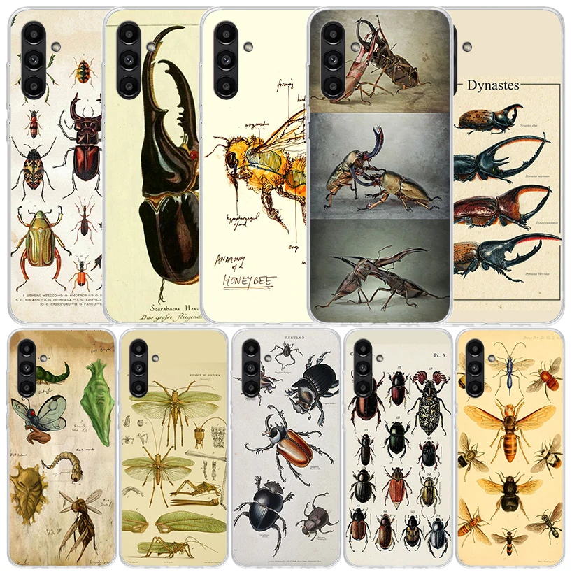Bugs Bees Scientific Decomposition Cover for Samsung Galaxy A17 A37 A57 A16 A26 A36 A56 A15 A14 A55 Phone Case A13 A53 A25 A35 A