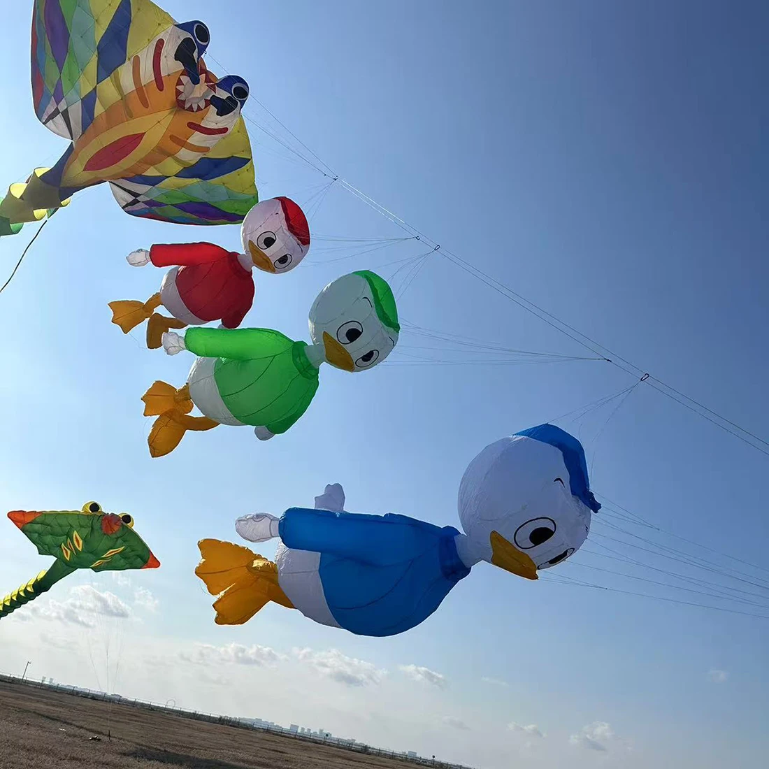 9KM 3M Duck Kite Lijn Wasserij Hanger Zachte Opblaasbare Show Kite voor Kite Festival 30D Ripstop Nylon stof