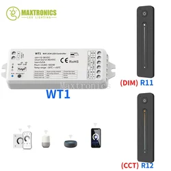 Tuya WT1 DC12V-36V Controller LED WiFi 2CH con Alexa Google Home Dimmer + telecomando RF 2.4G per striscia LED CCT monocolore