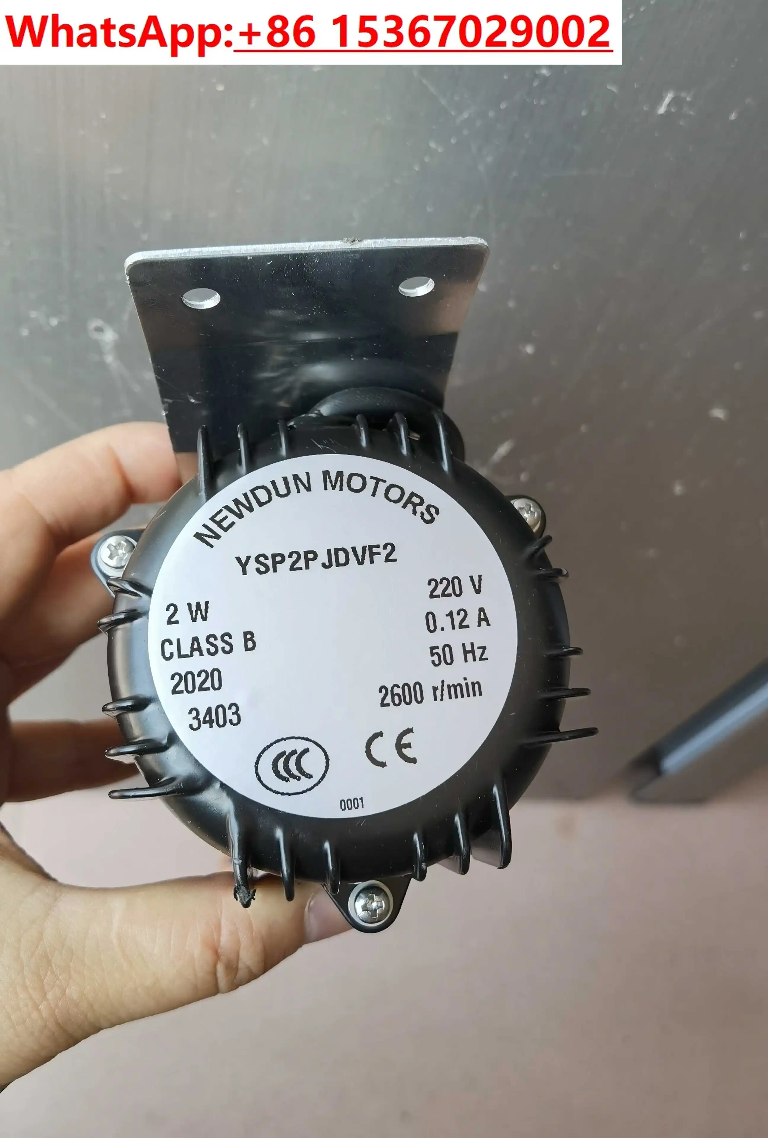 

Ice Maker 2W /Feeding Pump Motor Ice Maker 2W / Accessories YSP2P Pump Motor