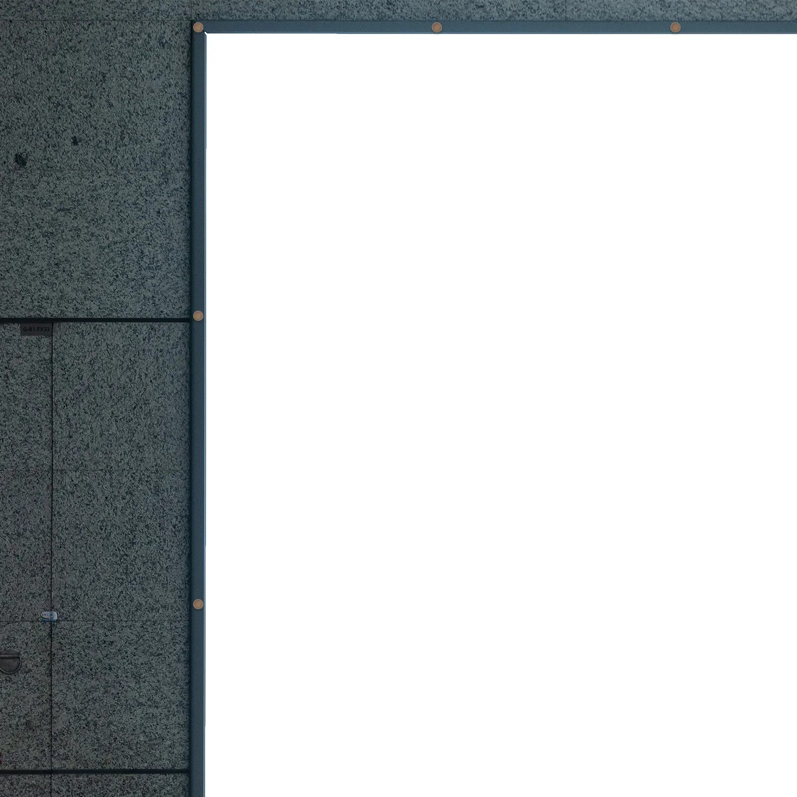 

8Pcs Brass Decorative Screw Caps Mirror Screws Flat Head Cover Fastening Hardware for Glass Furniture Wall Mounting Sign Nails