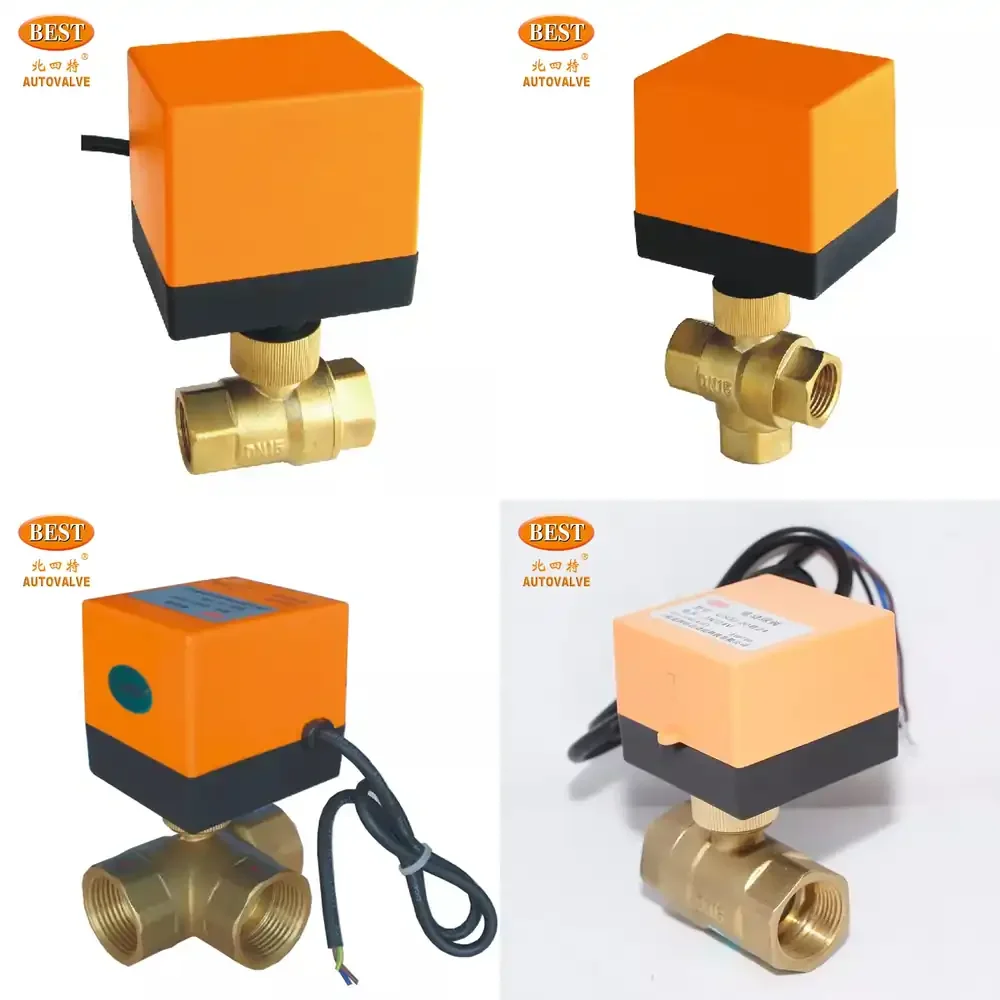 

Valve C500 2/2 Two Way C5003 3/2 3 Way Micro 110V 220V 24V AC DC Brass Electric Motorized Ball Valve