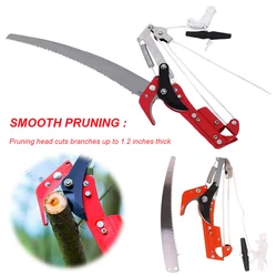 Tree Pruner Saw Extendable High-Altitude Branches Trimmer Labor-Saving Pruning Shears Garden Shears Saw Fruit Pick Cutting Tools