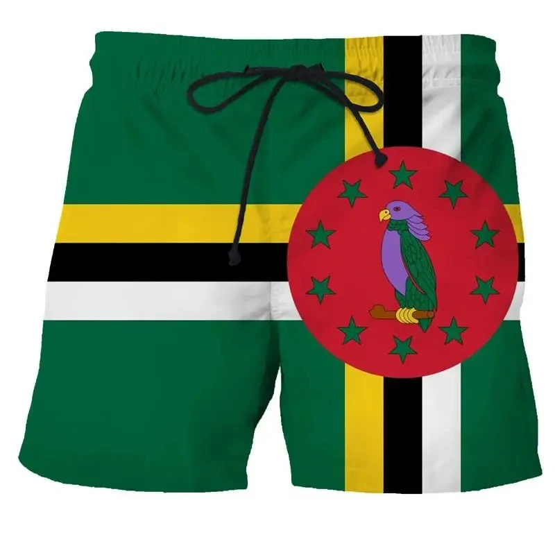 Zomer Heren Badpak Spaanvlag Print Surfplank Strandshort Nieuwe Mode Oversized Sportkleding Slips Jongens Korte Broek