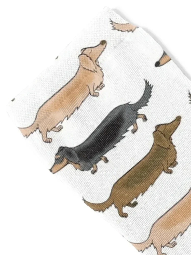 Long Haired Dachshunds off for a trot Socks Crossfit luxury winter kids Socks Girl Men's