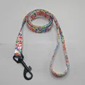 Leash C