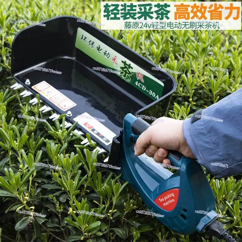 Tea picking machine Hedge machine Tea tree cutter Brushless single small portable rechargeable electric tea