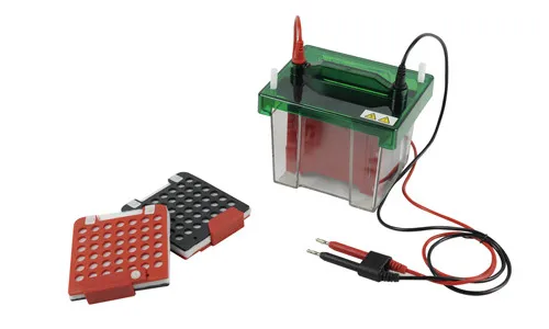 JY-ZY7 Western Blotting Electrophoresis System