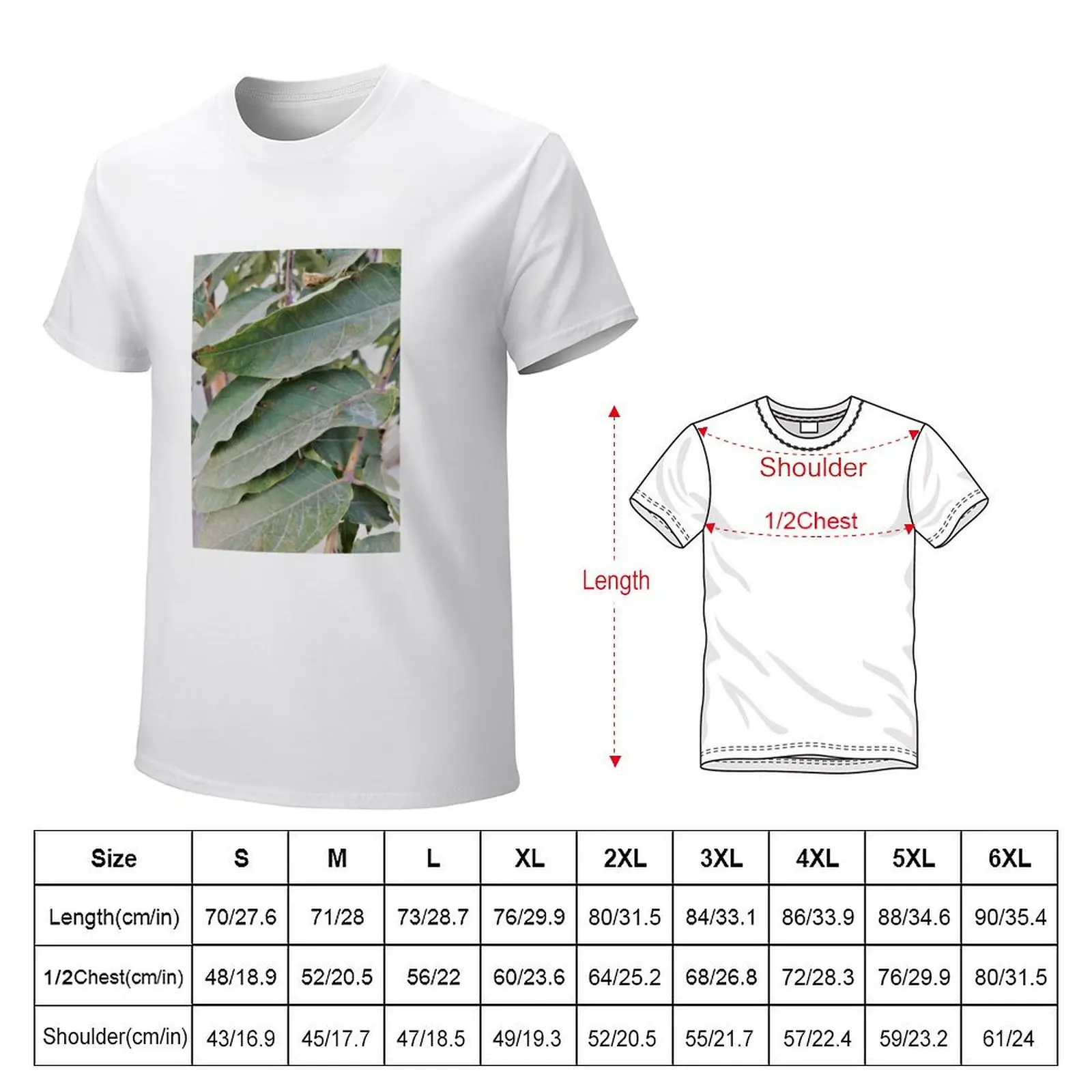 Dusty Old Leaves - Autumn Photography T-shirt oversizeds Short sleeve tee quick-drying plain t shirts men