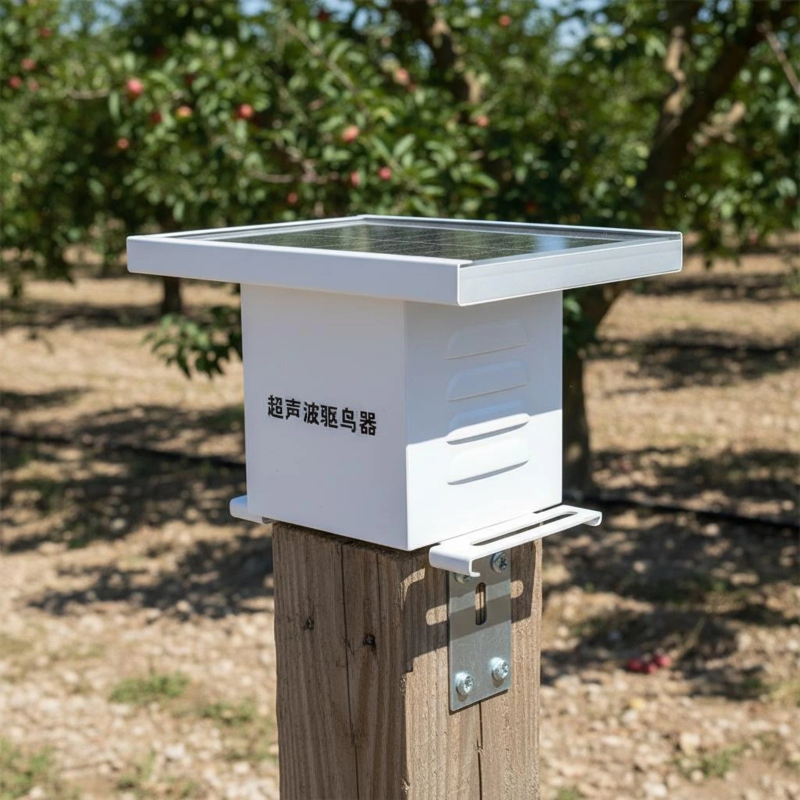 Dissuasore Solare ad Alta Freq - Solar Bird Scarer recensione e prezzo