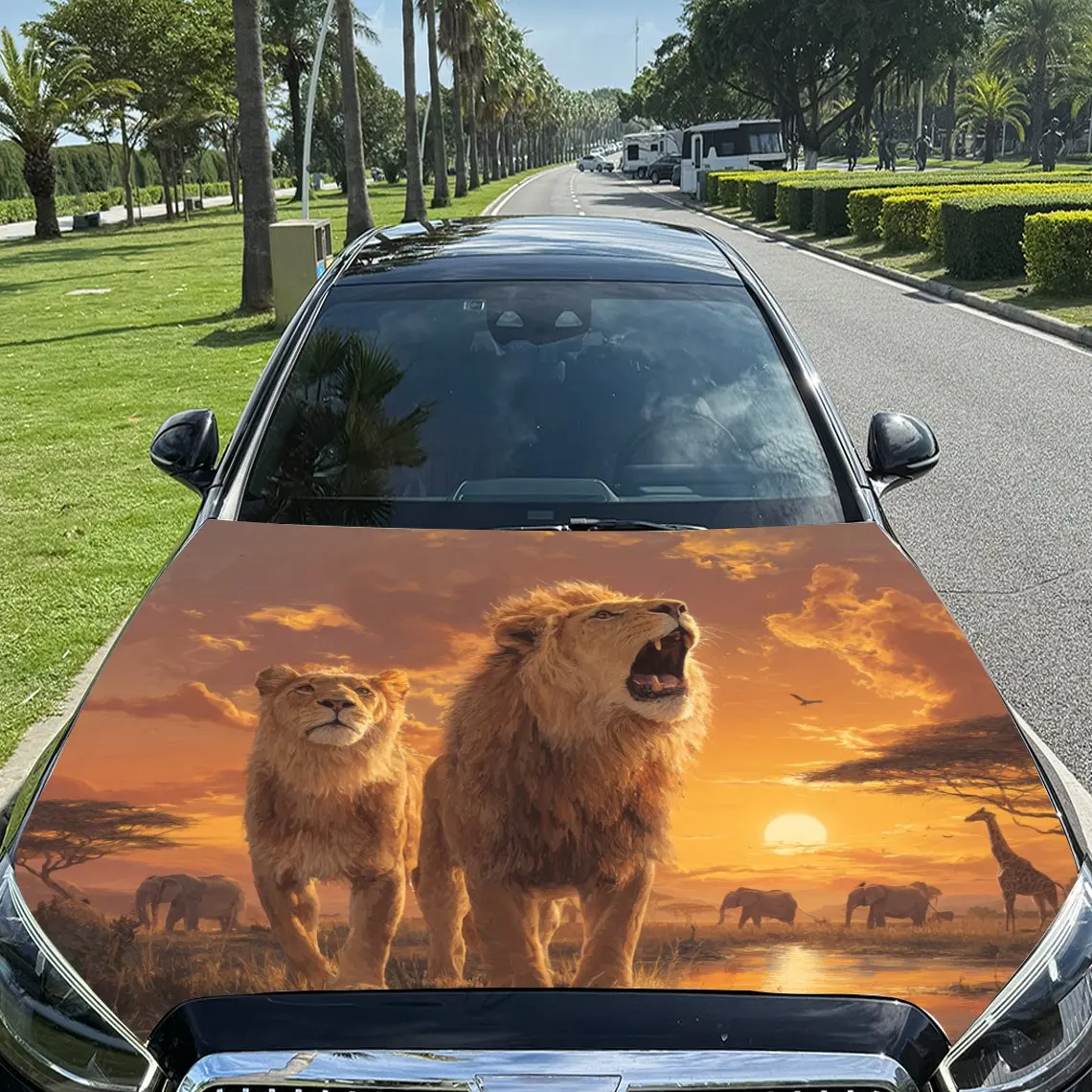 Dominant African Lion Pride Pattern car hood stickers, waterproof self-adhesive, scratch resistant, easy to stick, durable car P