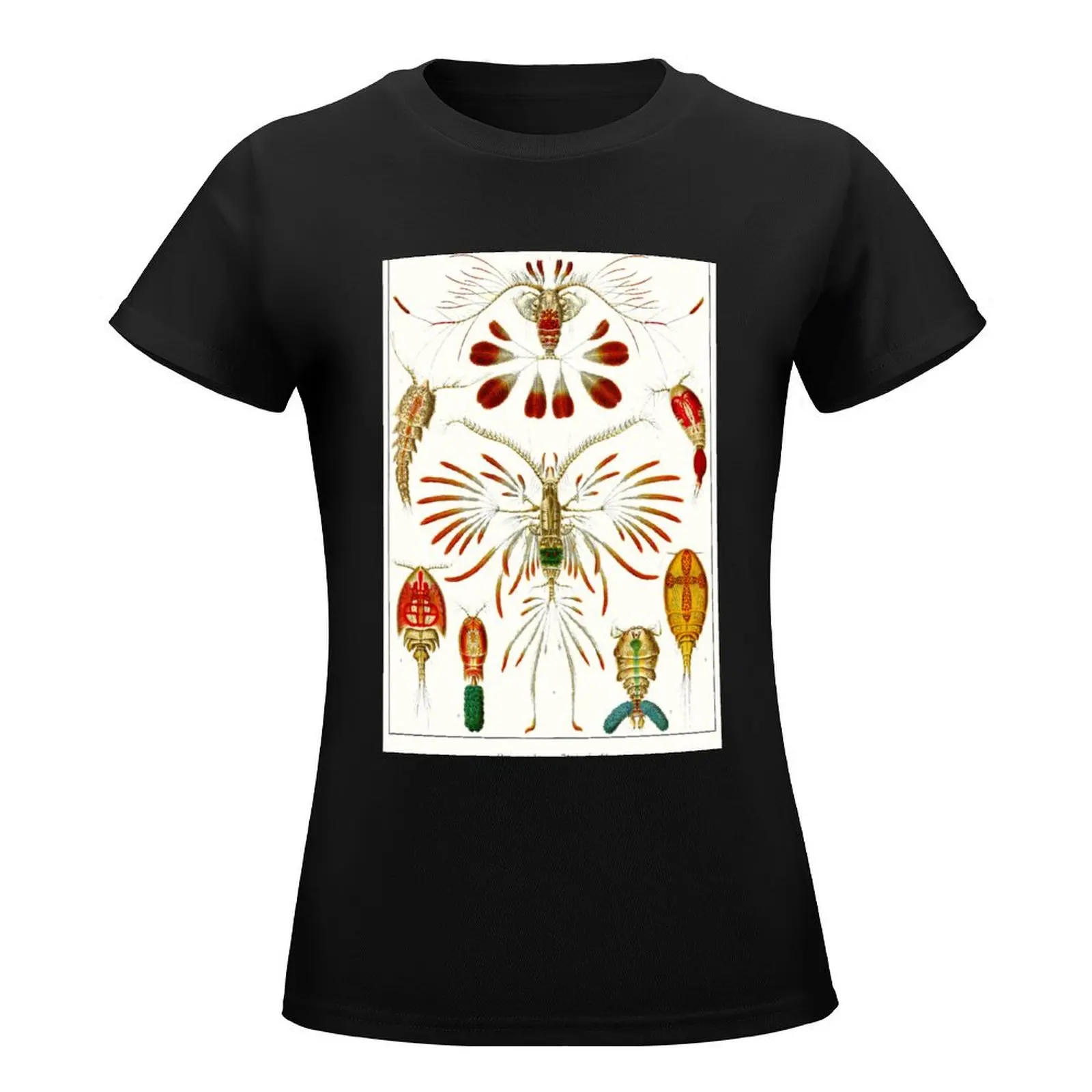 Plate 56. Copepods, small crustaceans from nearly every water habitat. T-Shirt Blouse customs design your own Women clothing