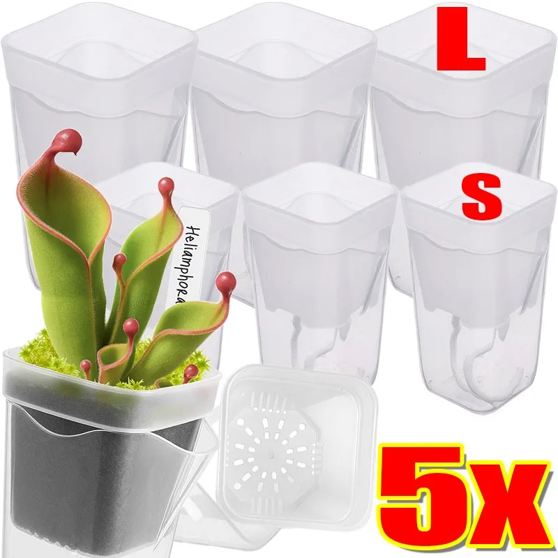Vaso Autoirrigável Transparente com Sistema de Pavio de Camada Dupla para Propagação de Plantas, Mudas, Suculentas e Plantas Carnívoras