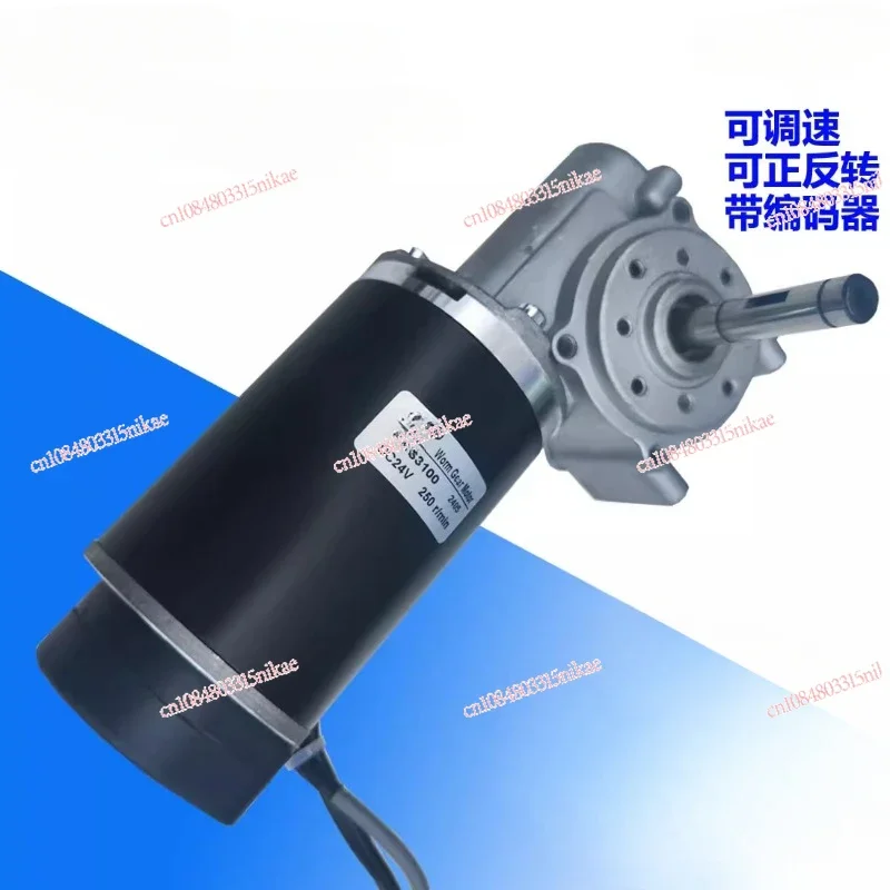 GW63100 Automatic Door Motor Automatic Glass Door Motor 60W Worm Gear Reduction with Encoder Motor