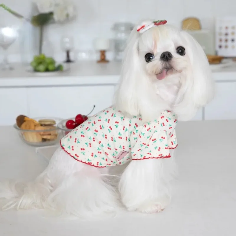 Cute Pet Winter Cherry Basecoat Dog Home Cute Cherry Pet Clothing Dog T-shirt Pet Clothing Teddy Clothing Designer Puppy Clothes
