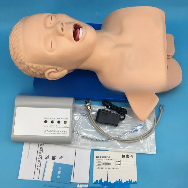 Intubation human body model learning teaching model airway management training device PVC alarm simulator with teeth